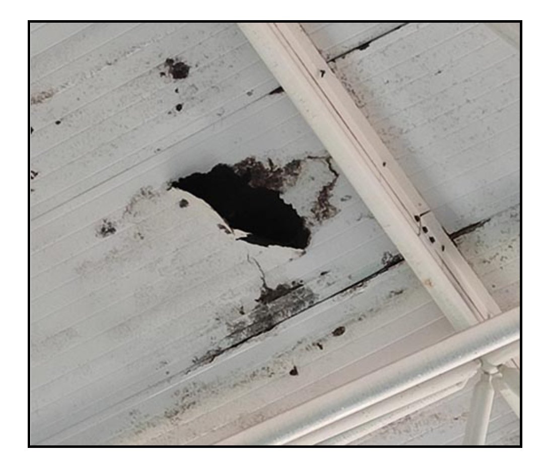 _ElObservador_'s tweet photo. #OJO @PSOEaytoMalaga
@aDanielPerez

Un bombero sobre la piscina @inacua_oficial cuyo techo se cayó el miércoles: “Meses atrás esto ya estaba abombado y podía caerse en cualquier momento”. Se avisó al Ayto @malaga, propietario, y @ferrovial_es, concesionaria, ninguno hizo nada.
. https://t.co/Y5BByJnGHi