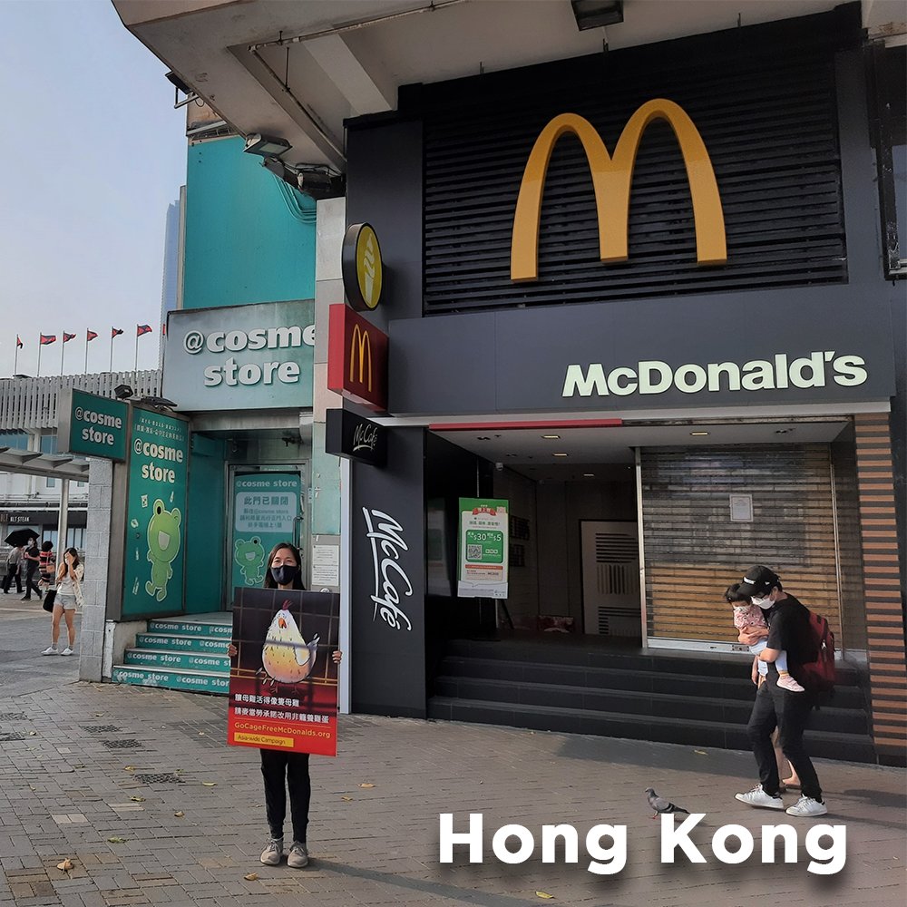 HappyTheHen's tweet photo. I can feel so much love from all our kind-hearted human friends who have kept up their efforts in urging @McDonalds to commit to using #cagefree eggs in Asia. May their efforts and my suffering not be in vain.
https://t.co/qPv68mePvw https://t.co/kjIatF4ph1