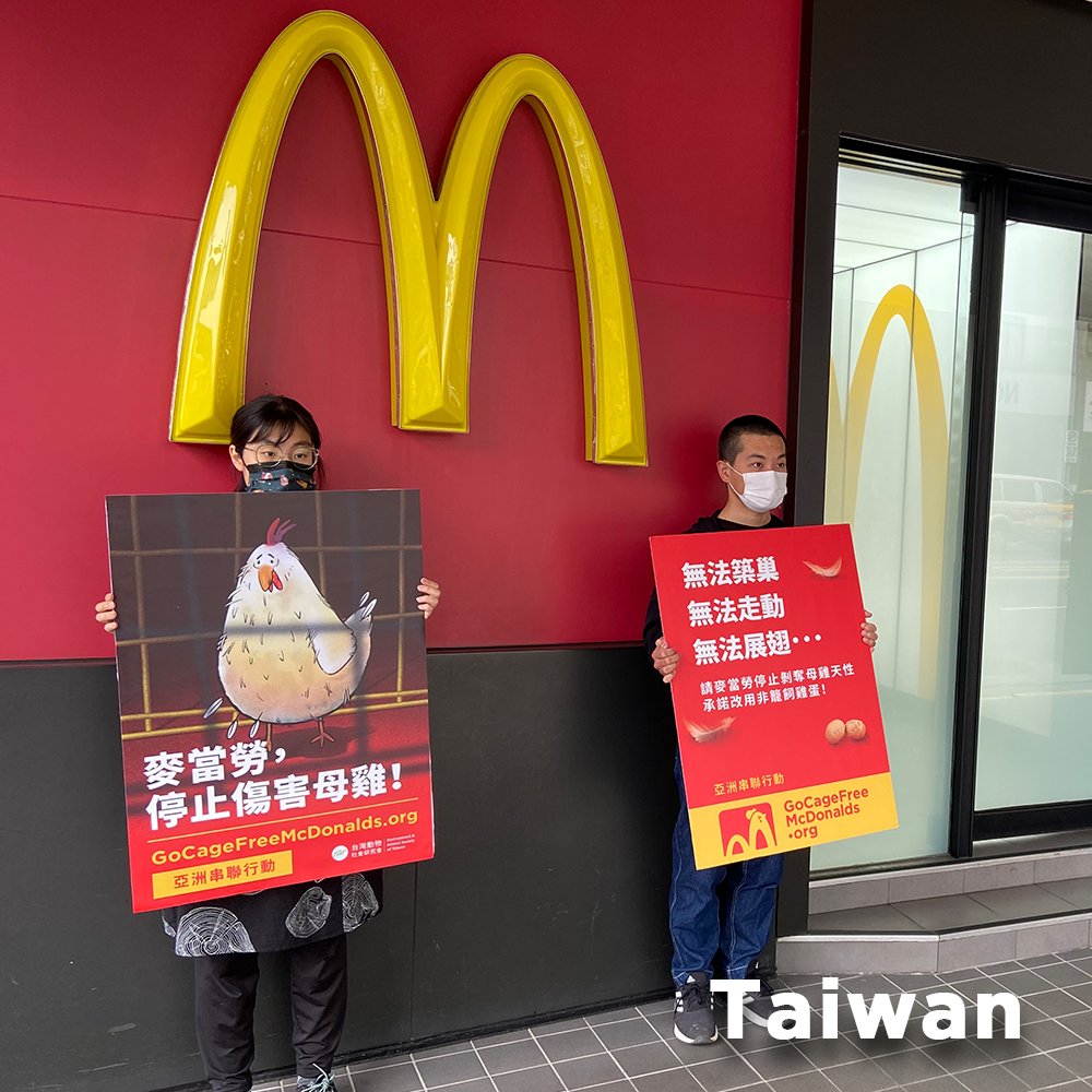HappyTheHen's tweet photo. I can feel so much love from all our kind-hearted human friends who have kept up their efforts in urging @McDonalds to commit to using #cagefree eggs in Asia. May their efforts and my suffering not be in vain.
https://t.co/qPv68mePvw https://t.co/kjIatF4ph1