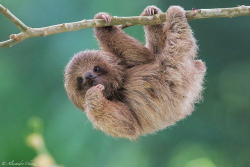 you_stay_golden's tweet image. Hey you! Good morning 😊 it's #Friday 🎉