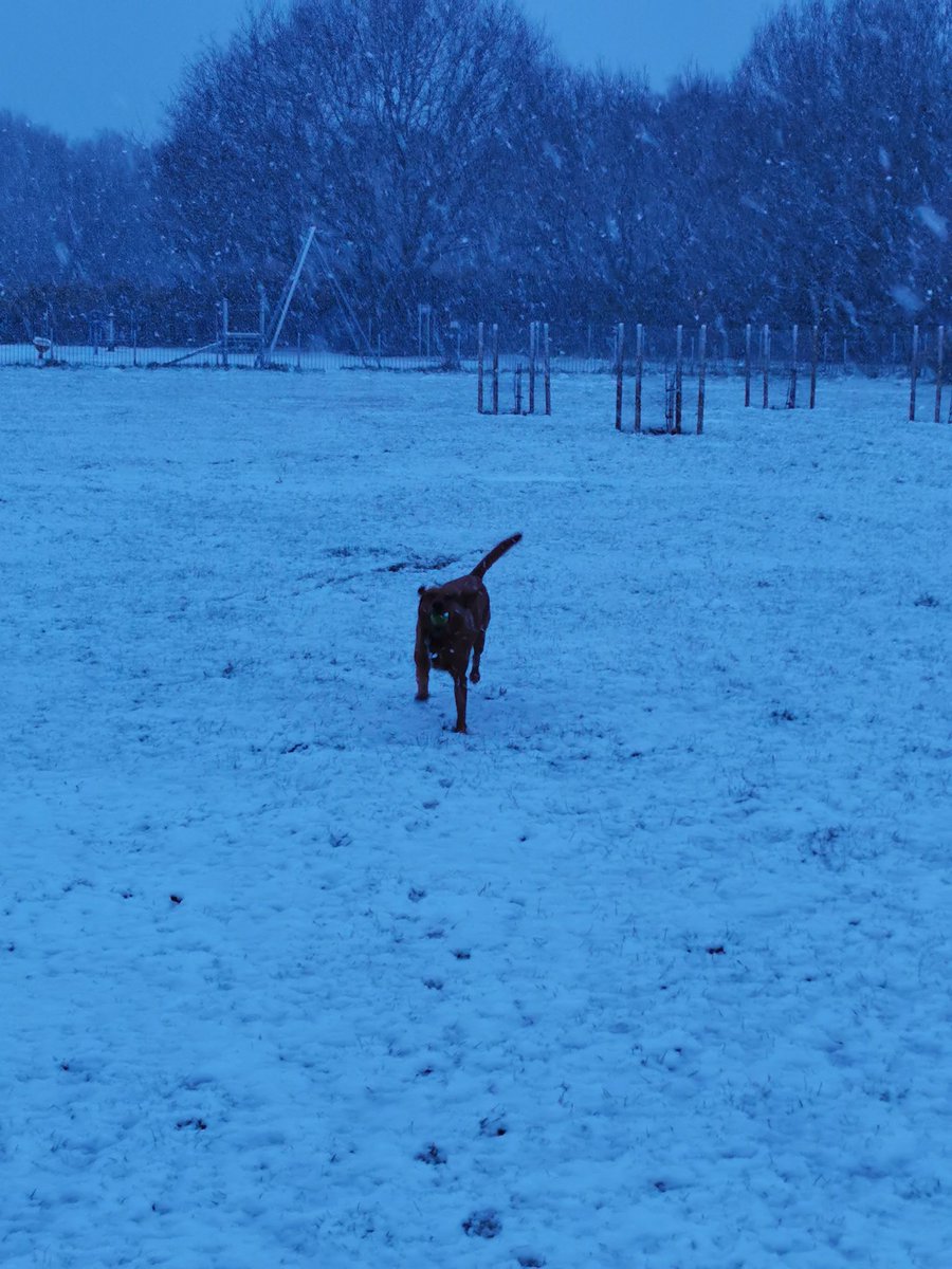 stevesmith5691's tweet photo. #WTF April Fools Day NOT Christmas Day!!! Snowing on 1st April 2022. https://t.co/GVHQWh2fCZ