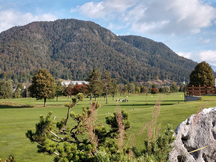 SonoitaliaInfo's tweet photo. #Aktivurlaub im #Dreiländereck rund um #Tarvis bedeutet nicht einfach Sport im Freien, sondern auch Golf ohne Grenzen, wie im #Golfclub „#Golf senza confini #Tarvisio“. 👉https://t.co/lykElsrtTE @Ilfriulivenezia @FVGlive @CiaoNico @IlTarvisiano @hotelilcervo https://t.co/KmfPFChRUw