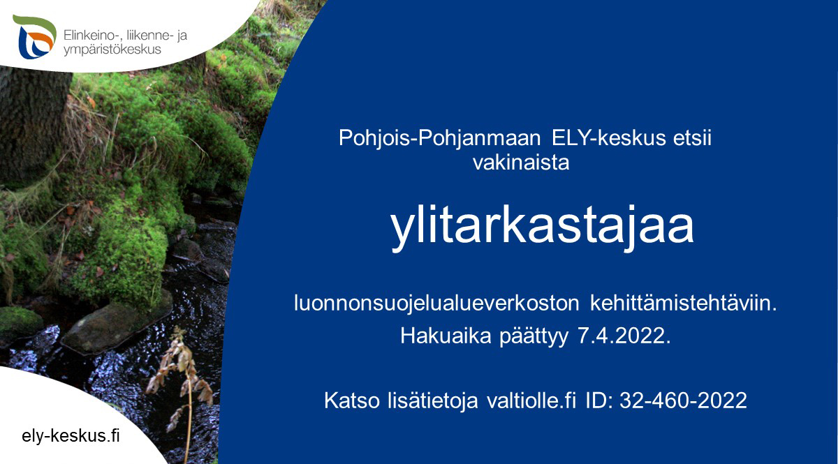 POPELYkeskus's tweet photo. Kiinnostaako vakituinen virka valtiolla? Pohjois-Pohjanmaan ELY-keskus etsii vakinaista ylitarkastajaa luonnonsuojelualueverkoston kehittämistehtäviin. Hae 7.4. mennessä https://t.co/XxvTnG2MeJ
#popely #rekry https://t.co/ndUWrbZqur
