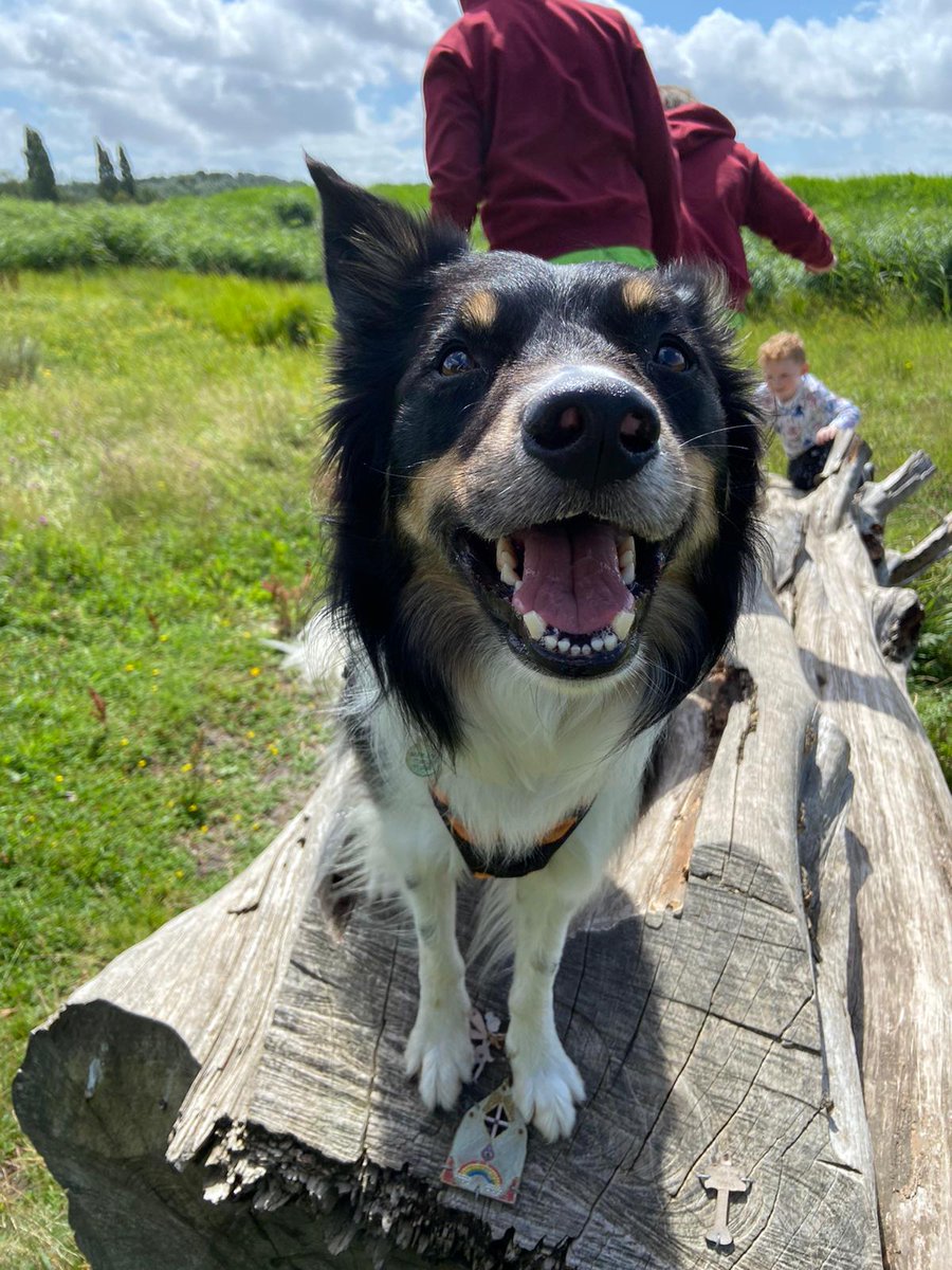 Misfit_marley tweet media