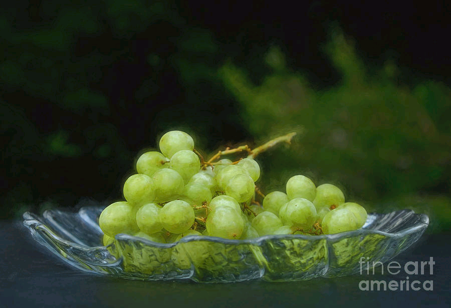 KayeMenner's tweet photo. #Green #Grapes on Glass #Plate by Kaye Menner #prints #lovely #products at  https://t.co/nwT2a2QKGv https://t.co/VQh8b3zO8D