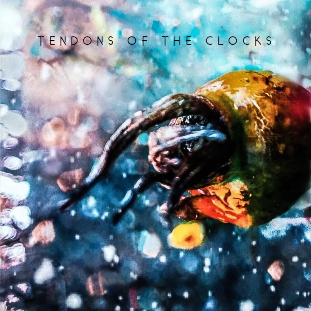 TheQoma's tweet photo. MY DEBUT ALBUM // TENDONS OF THE CLOCKS 
IS NOW OUT ON ALL DIGITAL STREAMING PLATFORMS:
https://t.co/JbDoiEfMXV https://t.co/t3Q6jLOmyM