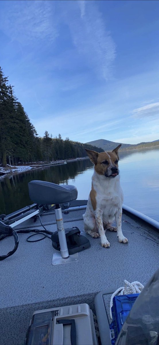 bmxbillyclark's tweet photo. #basstracker #lowrance #teamdiawa #stren #rapala hi can we please get a follow 🤣 ?? Thank you .. 🇺🇸 https://t.co/XmS9SWePvl