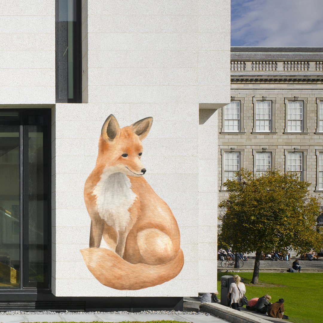 tcddublin's tweet photo. Trinity plans art installation project to honour Sam the #TrinityFox chosen as a symbol of independence, nature, playfulness and species diversity. ๐ฆ
https://t.co/DKD8lkZvtq https://t.co/hD4A6tw94E