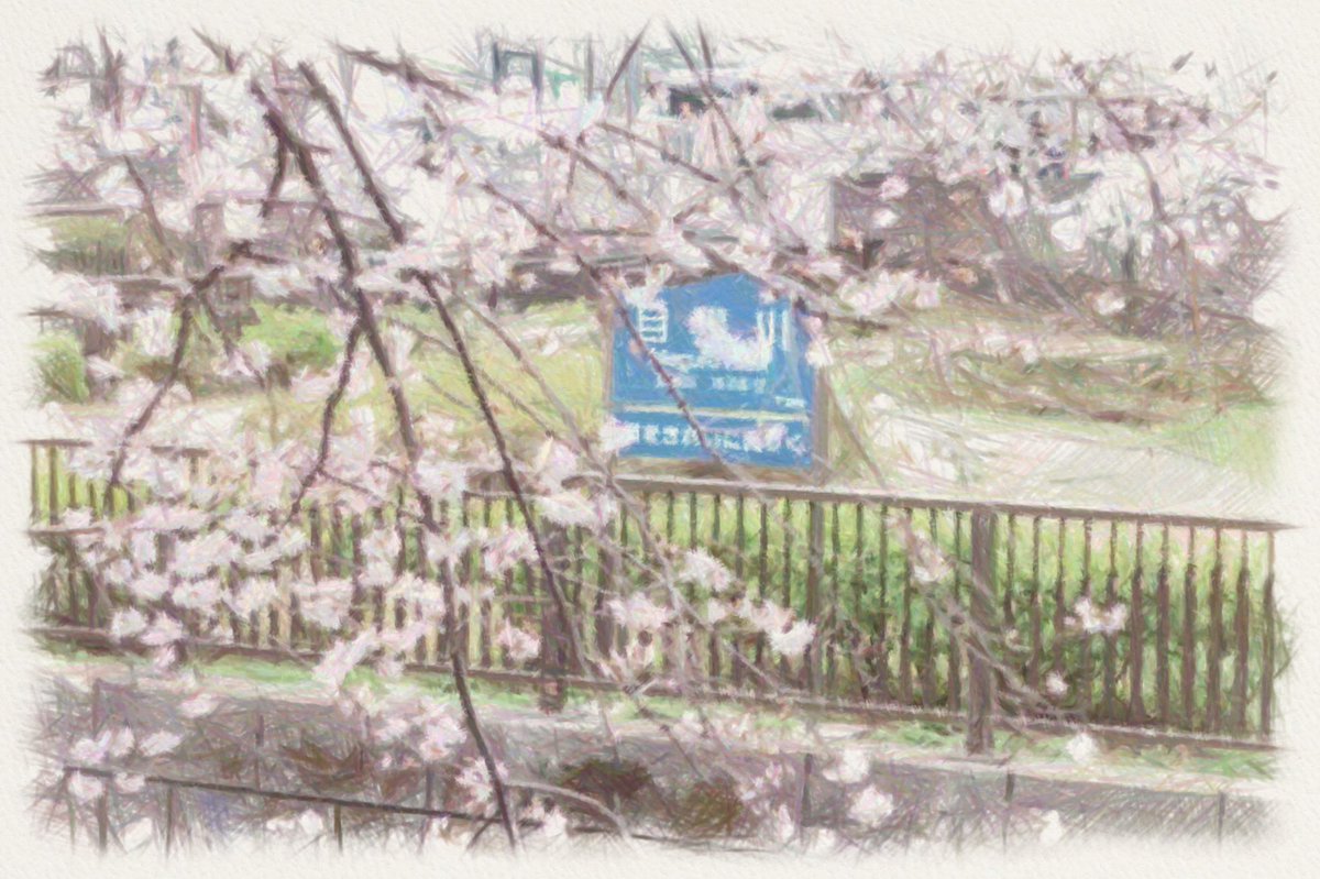 Inakichikichi's tweet photo. 中目黒の桜🌸

#中目黒 #目黒川 #桜
#写真好きと繋がりたい
#空 #夕暮れ #景色
#風景 #Canon #フィルム
#イラスト #春 #淡い https://t.co/vRSQtIFipm