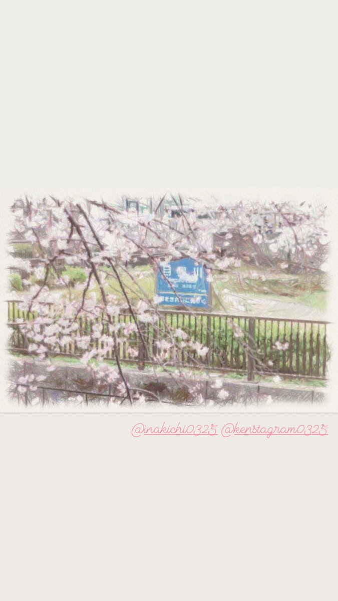 Inakichikichi's tweet photo. 中目黒の桜🌸

#中目黒 #目黒川 #桜
#写真好きと繋がりたい
#空 #夕暮れ #景色
#風景 #Canon #フィルム
#イラスト #春 #淡い https://t.co/vRSQtIFipm