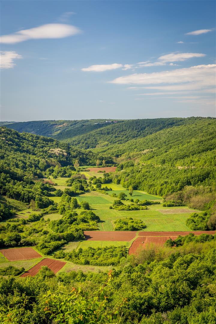 Central_Istria's tweet photo. #Tinjan Valley is a part of the longest valley in Croatia - Lim valley, which is about 40 km long. The elevated plains from both sides of the valley are over 300 metres high and in the base there are numerous fertile plains on red Istrian land. 🌄
#visitIstria #Croatiafulloflife https://t.co/n0HXzMaRyK