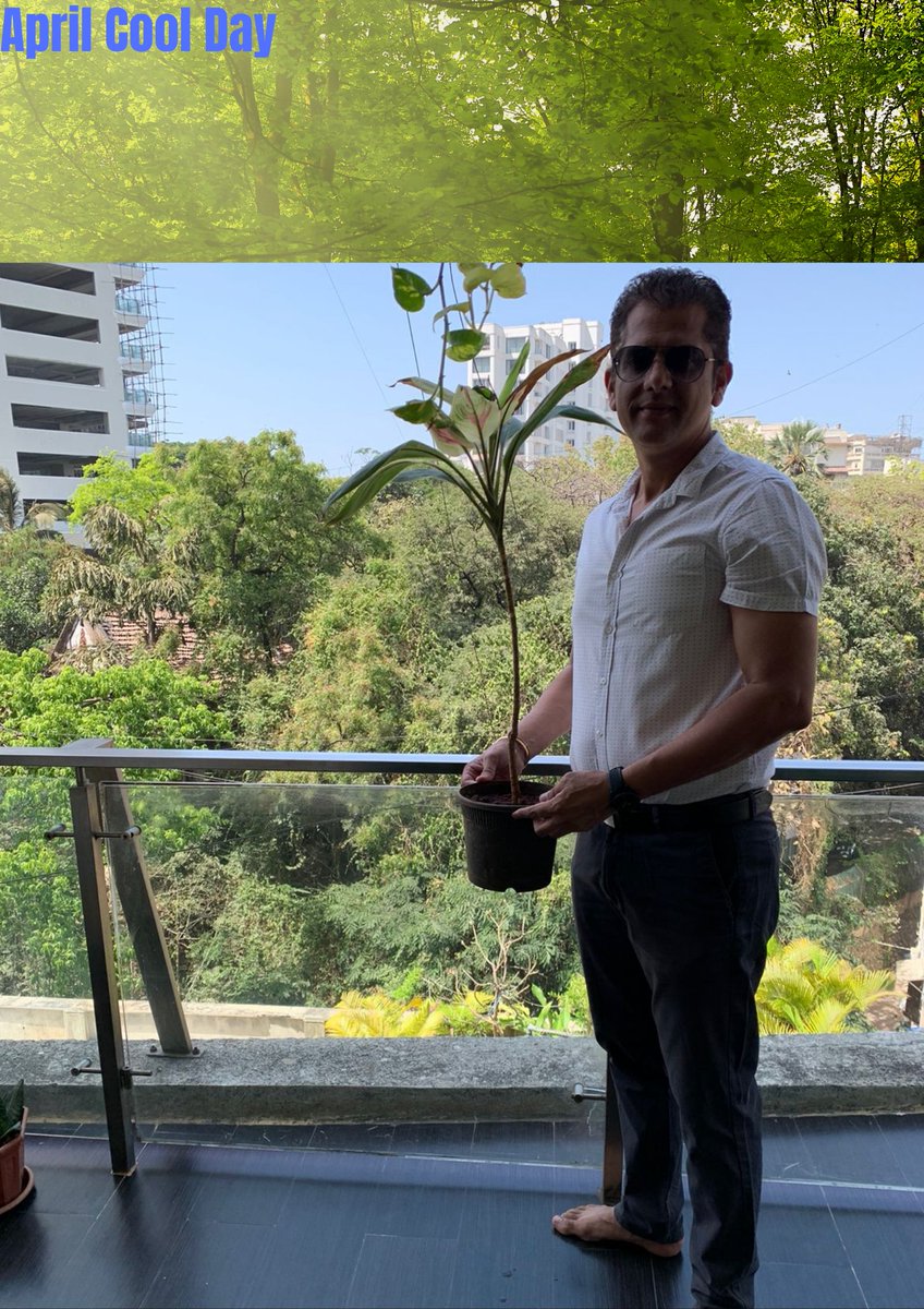 MNCDFbombay's tweet photo. We appealed to citizens to participate in the #AprilCool day Initiative launched by the I❤️Mumbai Foundation @Iamrahulkanal & supported by @PPA_India! Here's a glimpse of pics received from citizens planting saplings. Let us come together & protect mother nature.
#OnlyOneEarth https://t.co/Lp8VMP9EfM