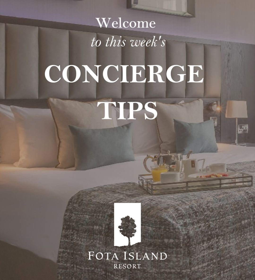 ConciergeCJohn's tweet photo. Welcome to this weeks #conciergetips from @FotaIsland #CorkConcierge #askyourconcierge https://t.co/BO0Gw7Wv1l