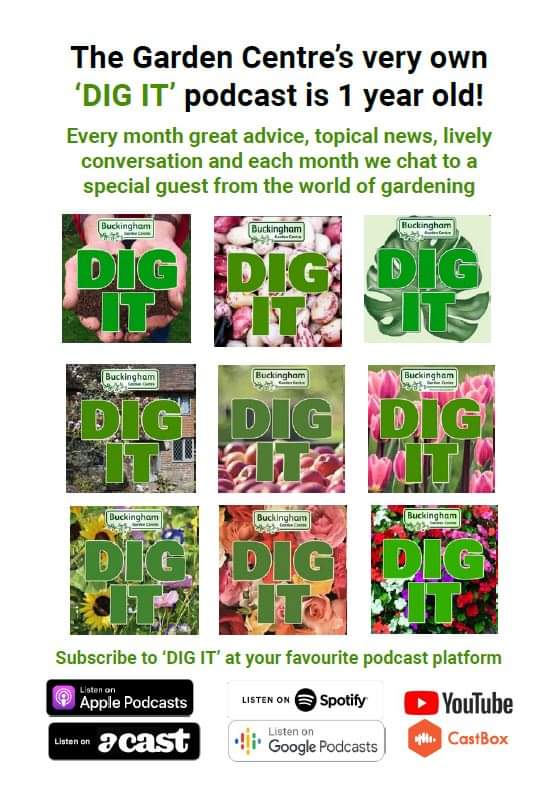 ChrisDay365's tweet photo. 🐇 Our latest #Digit Podcast - April in the Garden is available now from your usual podcast platforms ❤ 🌱 Catch up with Peter and Chris as they chat about the latest gardening news, what's on at the Garden Centre and around the UK, plus top tips and advice
@ChilternMusic https://t.co/RpP1Ti15KW