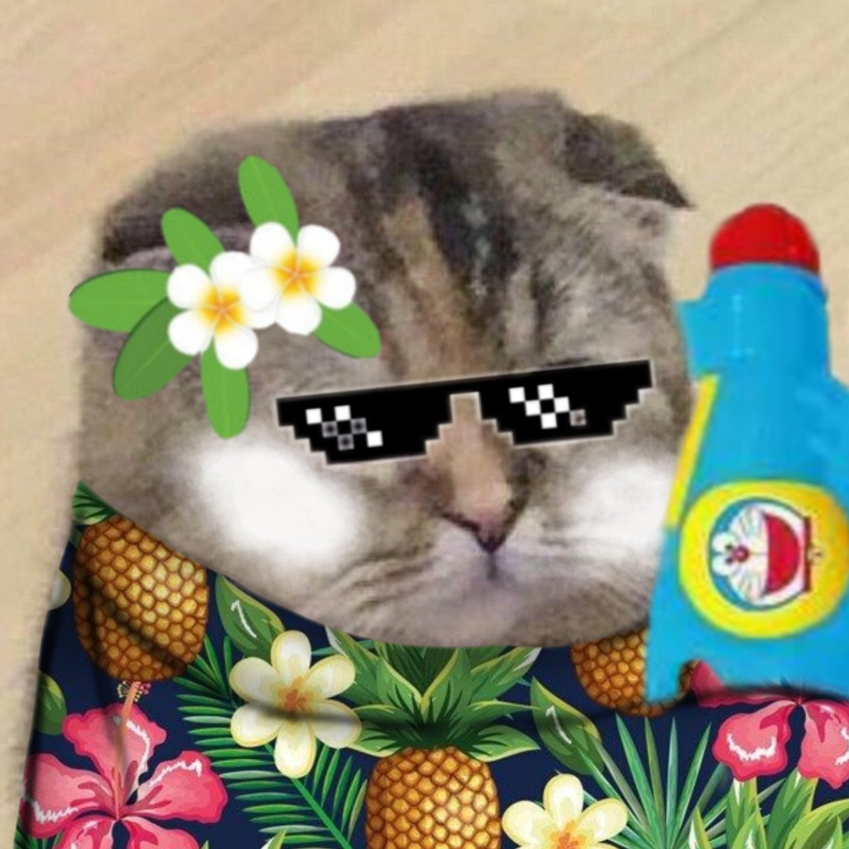花|โปรแกรมเมอร์ตัวจริง tweet media