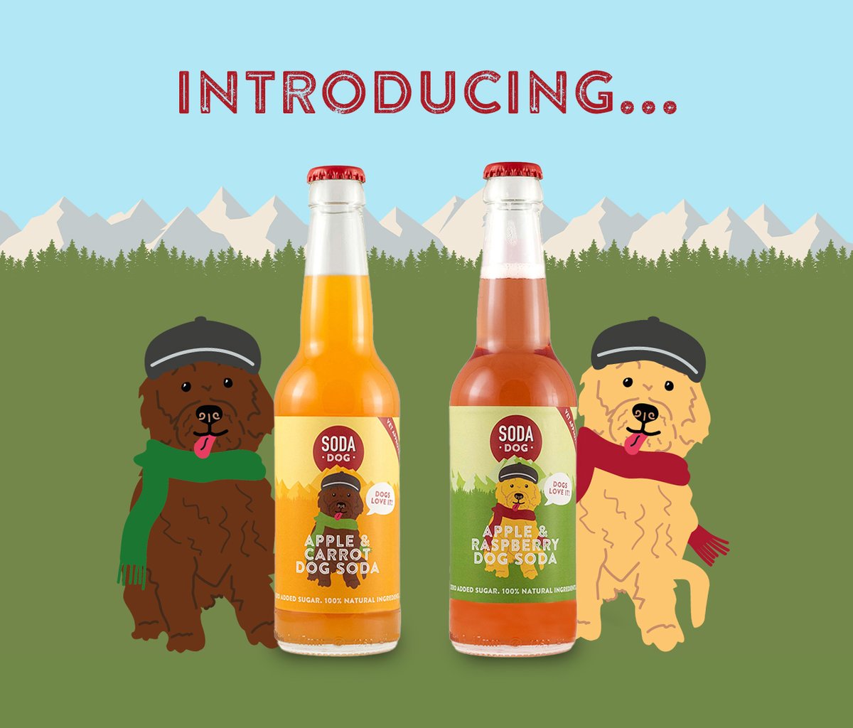 Say hello to something brand new &amp; exciting! Introducing Soda Dog!

If you are interested in buying &amp; receiving Soda Dog, sign up here: eepurl.com/hIa5Uf

#sodafolk #newproduct