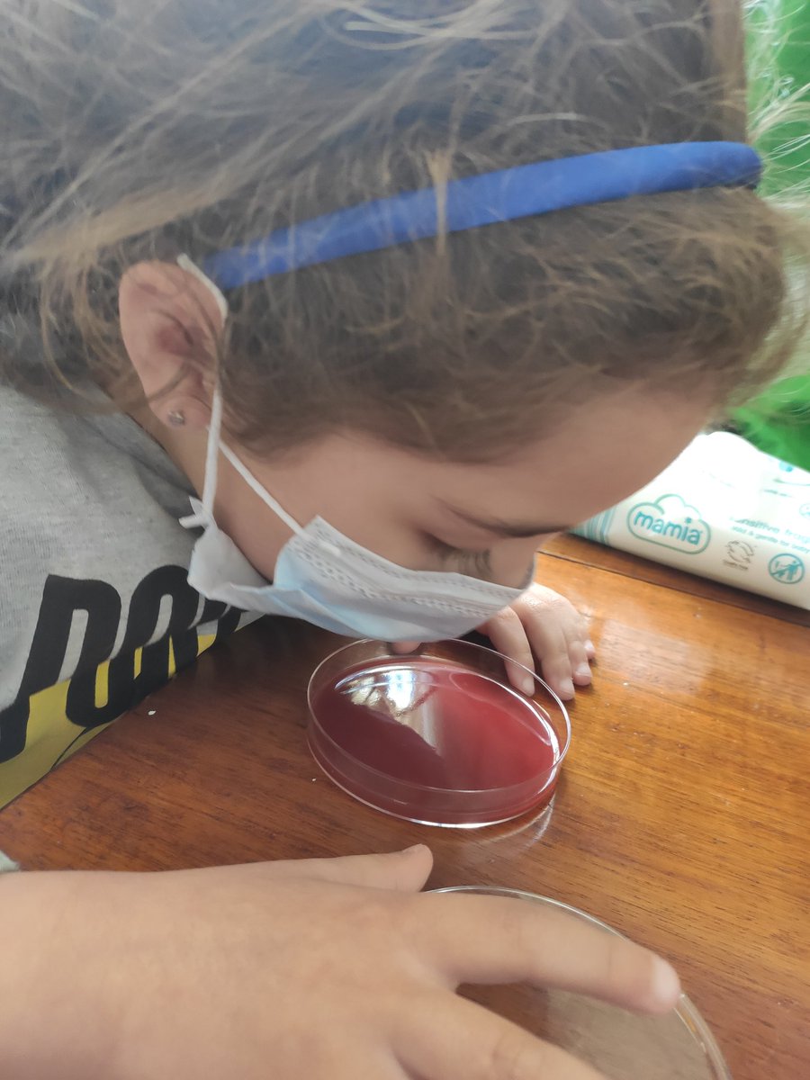 En el nuevo experimentillo de Microbiologia en casa 👇
Como previenen las mascarillas las enfermedades infecciosas?