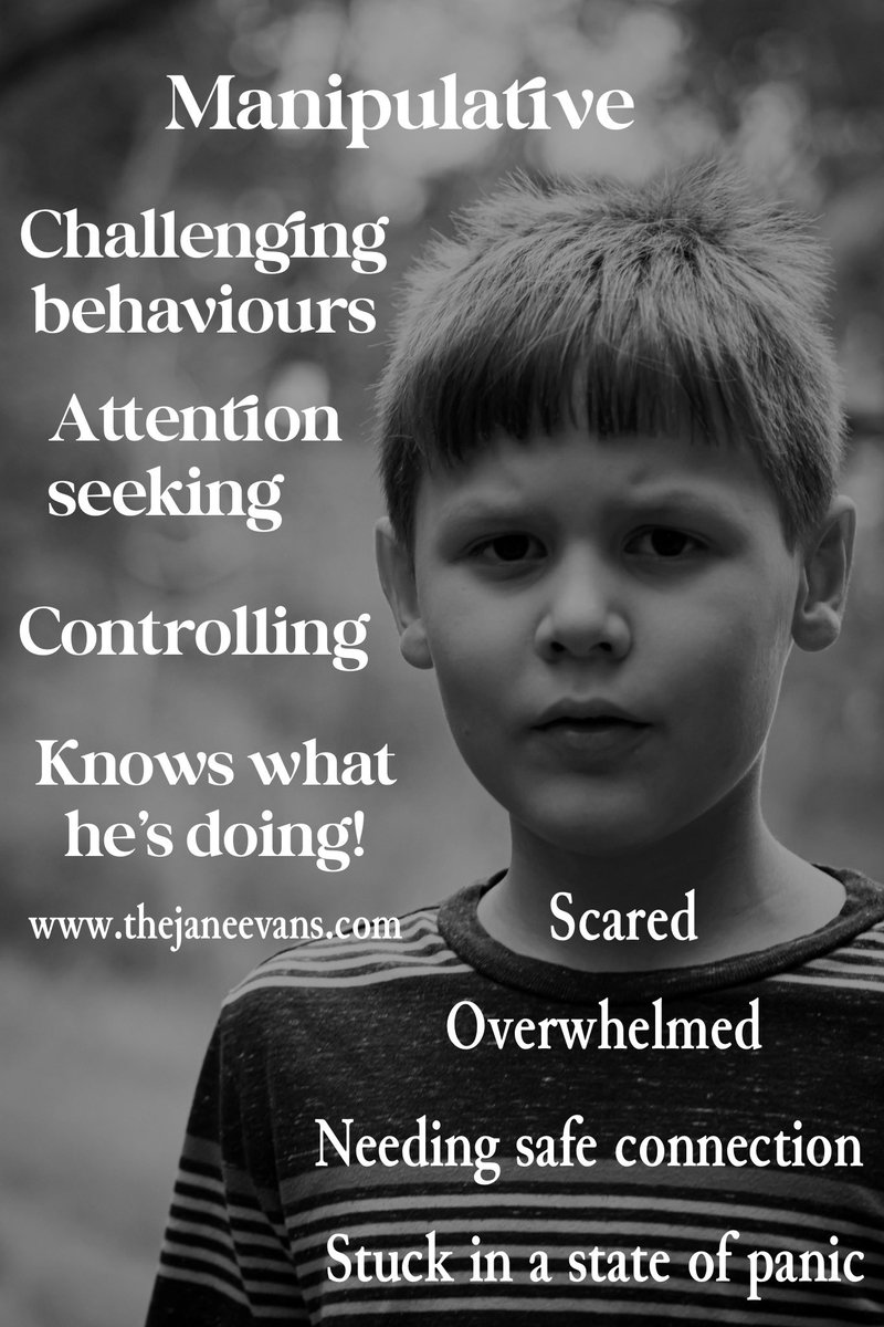 janeparenting2's tweet photo. How we choose to describe a child has a powerful lasting impact on how they are perceived by themselves and others

This is something I always explore when I’m training professionals who work with children 

Words loaded with judgements do harm…

What do you think?

#Children https://t.co/JZ26ZuigZe