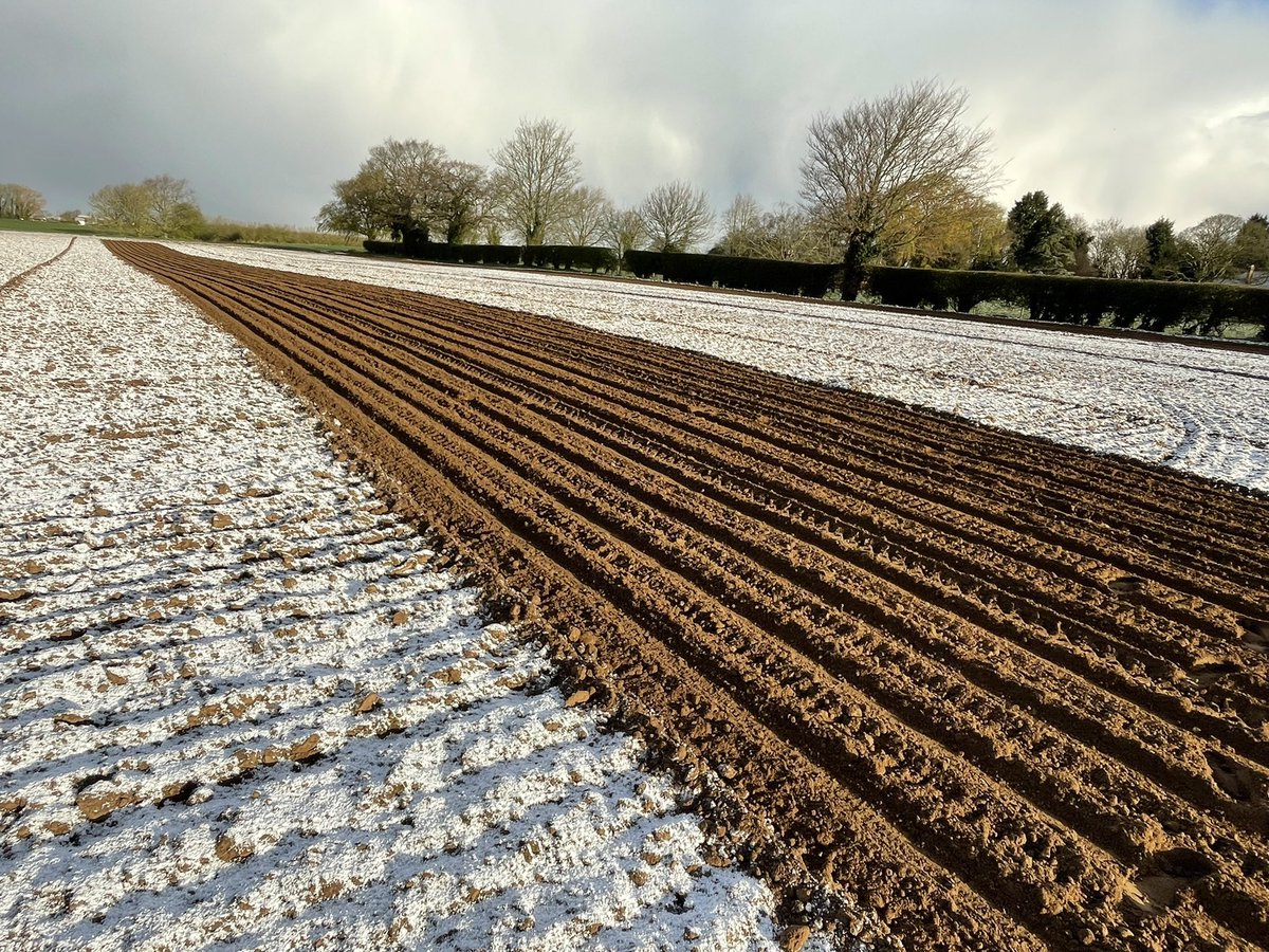 The 1st of April can you believe it……… ❄️ <a href="/BritishSugar/">British Sugar</a> #1st of April #agriculture #AprilFoolsDay2022