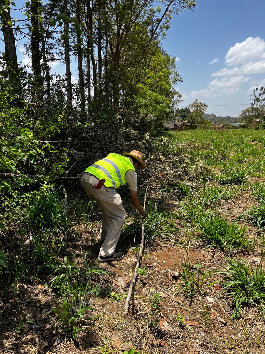 Dominic WALUBENGO tweet media