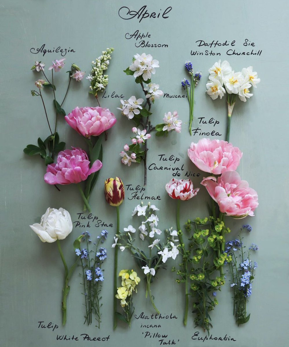 Hoşgeldin nisan💐🌺🌷🌸