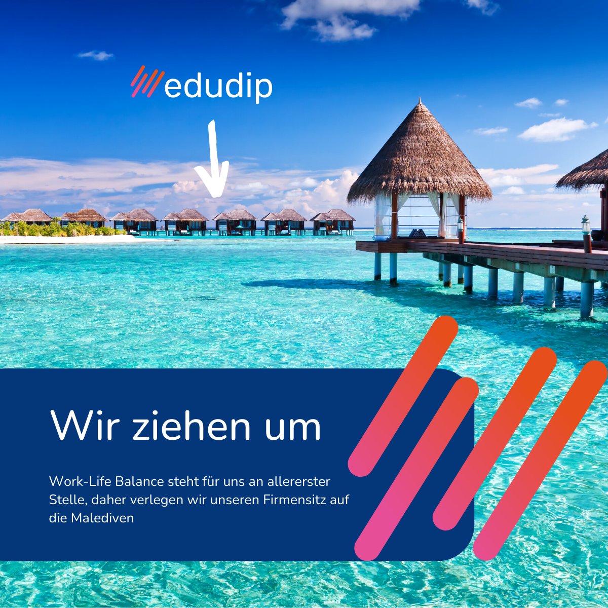 edudip GmbH tweet media
