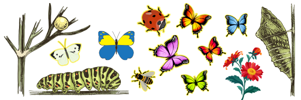 Flagstack tweet media