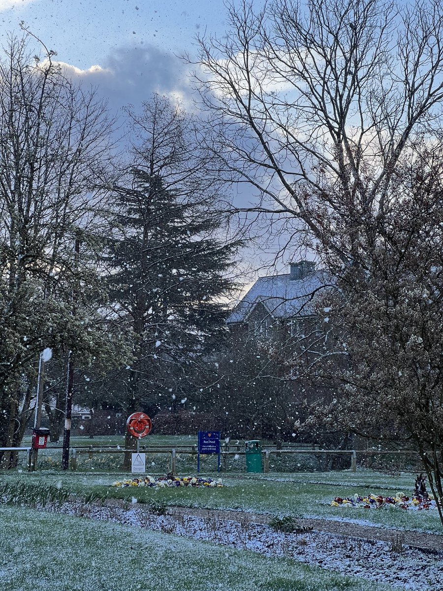 ❄️ #AprilFools or not @felsted_school this morning?

#winter #april #winterwonderland #curiosity #wonder #snow #snowing #letitsnow #spring #landscape #photo #nofilter #nature #naturephotography #morning #friday #sunrise #inspiration #felstedinspires #felstedadventure #adventure
