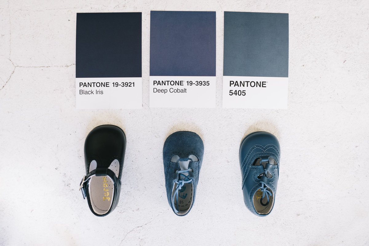 pepaycris's tweet photo. Para gustos los colores… y los diferentes azules 💙
✨ En nuestra web podéis encontrar distintos tipos de zapatos para los más pequeños de la casa en una gran variedad de colores y tonos ✨ https://t.co/XY3L41UN0g