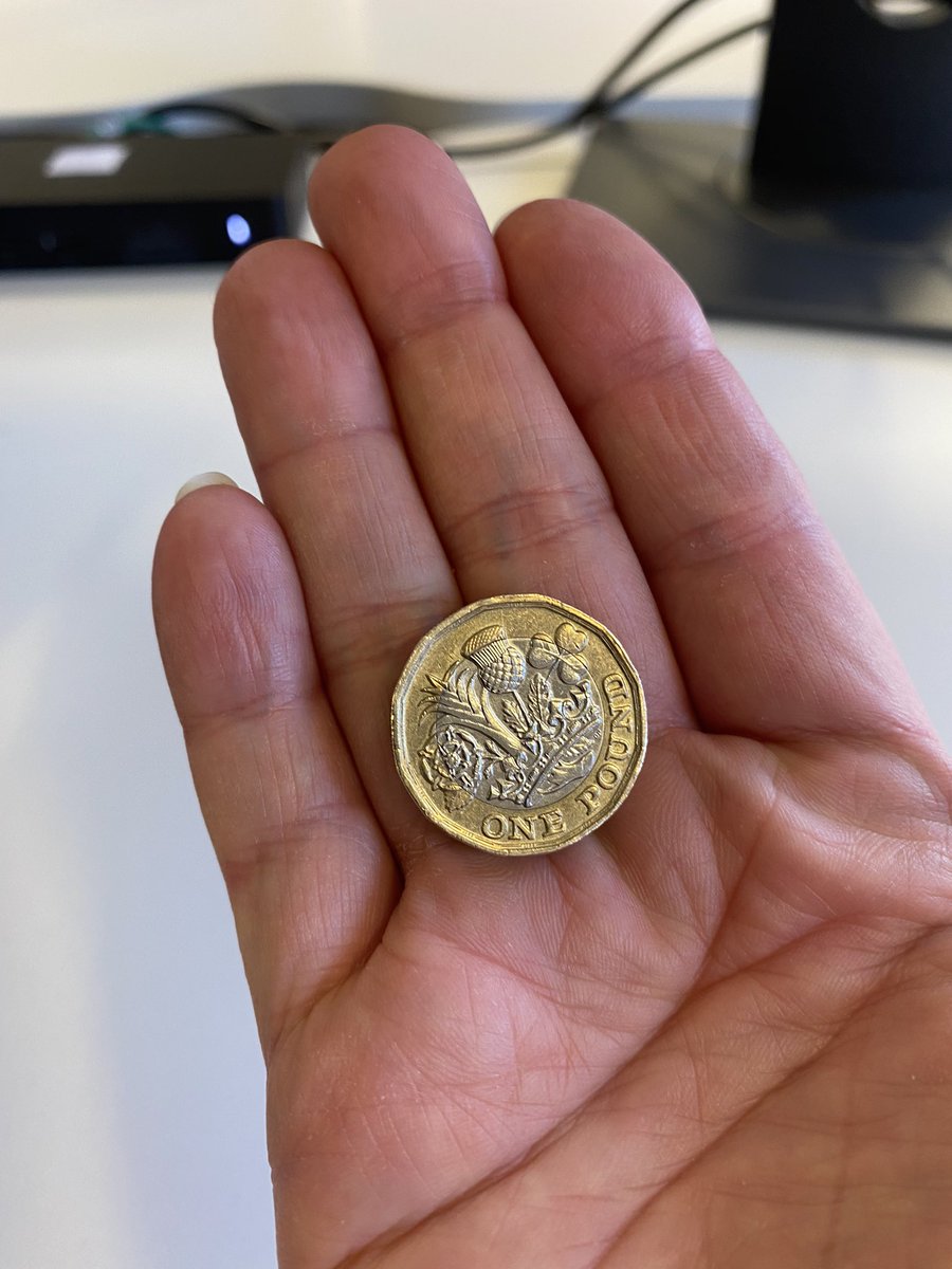 Sally Archer tweet media