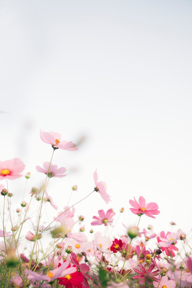 TheOneCoach143's tweet photo. Spring makes me feel a sense of wonder that inspires me to dive deeper within. And by doing so, I've been inspired to create more of whatever my heart desires.

What do you think about when March rolls around and Spring is in the air?

Thể Oanh Coach

📷 By TOMOKO UJI Unsplash https://t.co/zC7NGkxKM4
