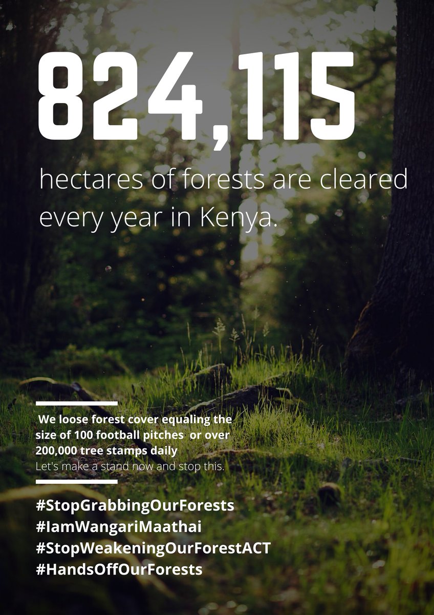 Conservation_ke's tweet photo. We loose 25% (824,115 hectares) Put in context this is same as losing forest cover equaling the size of 100 football pitches  or over 200,000 tree stamps daily.
#IamWangariMathai
#HandsOffOurForests
#RejectForestAmendments https://t.co/ocj9D22aYq