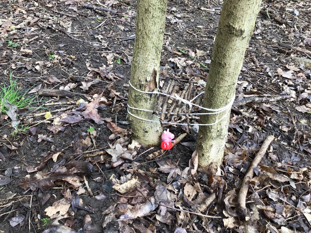 SuperSquirrels_'s tweet photo. We built shelters for toys at forest school yesterday! It was great to see lots of imagination and different approaches! #childledlearning #getoutside #forestschool https://t.co/zpM7M0pXnk