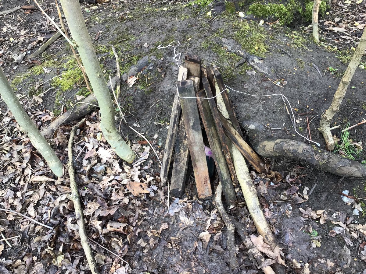 SuperSquirrels_'s tweet photo. We built shelters for toys at forest school yesterday! It was great to see lots of imagination and different approaches! #childledlearning #getoutside #forestschool https://t.co/zpM7M0pXnk