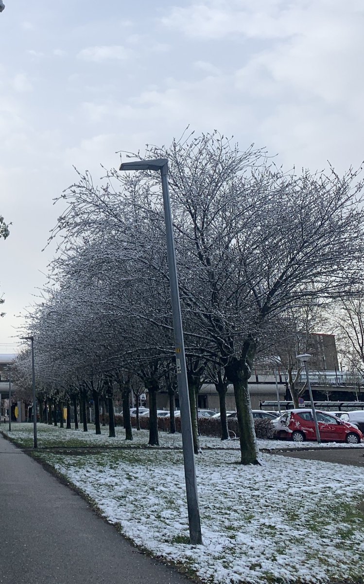 het sneeuwt eindelijk in NL , veel later dan verwacht   #sneeuw
