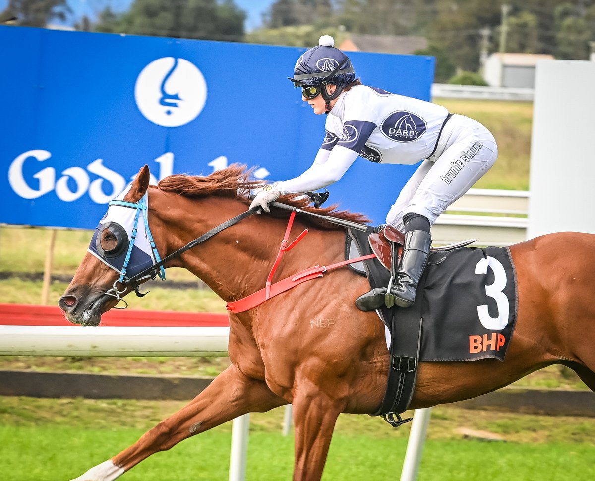 thebrookracing's tweet photo. #ConstantFlight (@brooke_stower for Cameron Crockett) wins R8 BHP Mt Arthur Coal Wayne Harris Showcase Hcp (1280m). 2nd Strawb (M Bell), 3rd Casino Seventeen (J Searle), 4th Two Big Fari (B Osmond). RT 1:17.28 (last 600m in 35.08). Margins 1.5L x 1L @Darby_Racing https://t.co/bnWWph1NOn
