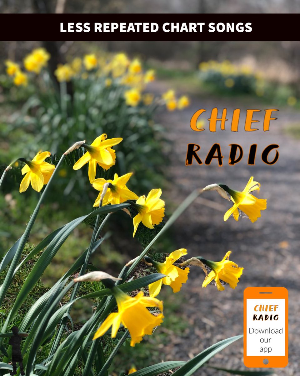 HBDreampot's tweet photo. Morning with @Kirsty_baird1 live with Baird’s Breakfast 

Playing 

@saintphnx Request
@AdmiralFallow 
@SingsAfterlight 
@countbuckley 
@horomusic 
@Siobhan_Miller 
@justjilljackson 
@RachelWlkr 
@oldblinddogs 
@SKERRYVORE 
@evaunderfire 
@NellBryden 

Choose Chief #unsigned https://t.co/qQumcC2Rde