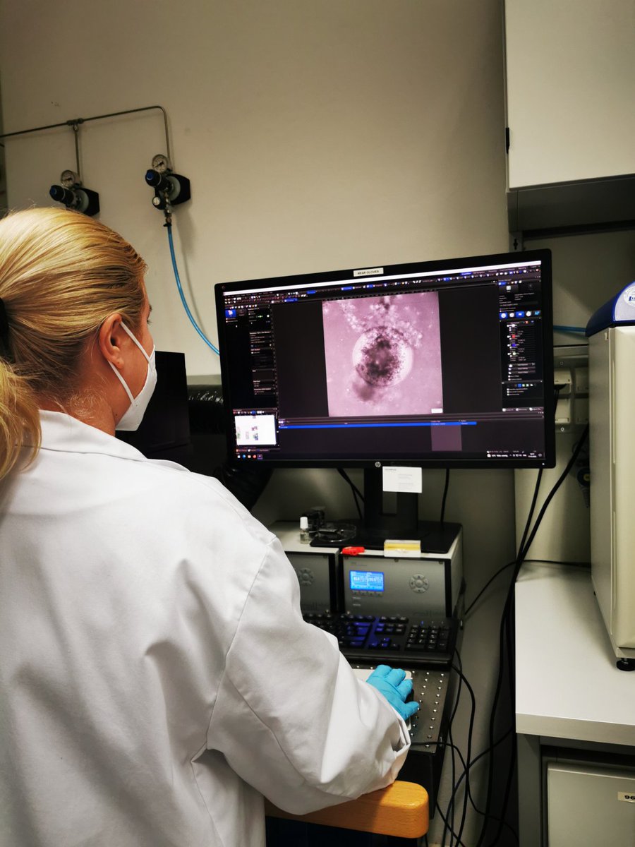 NANOFACTS2's tweet photo. Young researchers, Mila Djisalov and @knezic_teodora, are working on the development of cancer spheroid-on-a-chip technology for #GlioblastomaMultiforme. 👩🔬
#h2020 #twinning #project
#nanofacts
#cancerspheroid #chip #microfluidic
#secondment #labdiary
@EU_Commission
@tu_wien https://t.co/ykciAQ2ziW