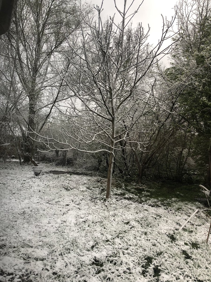 jimo_diamint's tweet photo. e apenas uns dias depois…

mas por mim tudo bem, acho a neve linda, especial, tudo de bom https://t.co/OsCtdHZcdX