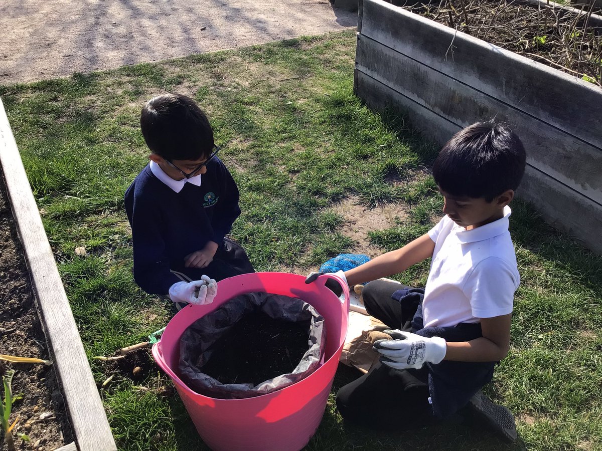 AbbeyMead_TMET's tweet photo. The Year 3 Eco-Club have been super busy planting potatoes and carrots in our Edible Playgrounds.👩‍🌾🥔
@EcoSchoolsLCC @EcoSchools https://t.co/IYzFIsy73o