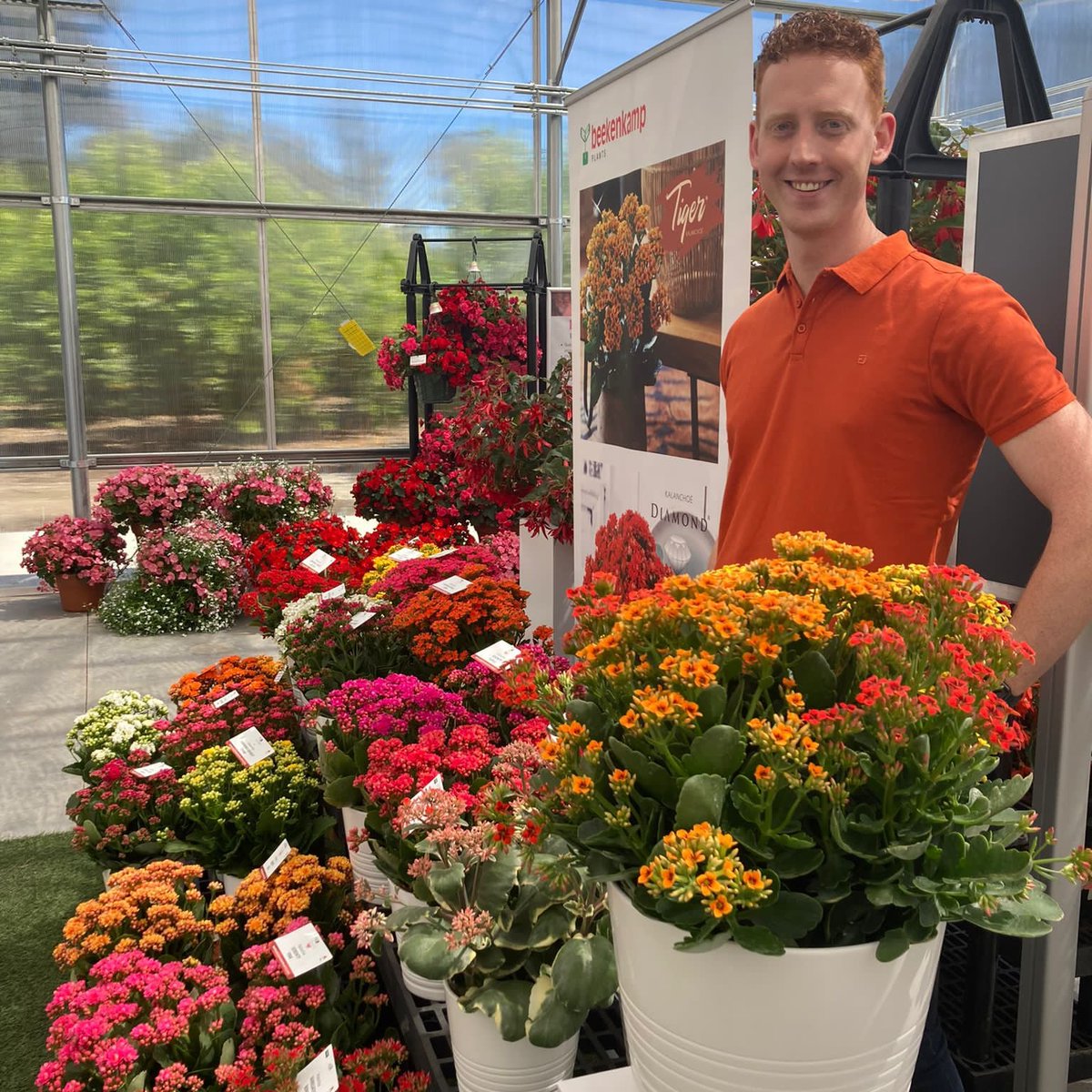 Slijkermankalan's tweet photo. It is not an April fools joke, the California Spring Trials are in full swing at the Greenfuse location in Somis. You can meet our colleague Stef and the team of @BeekenkampNL, ask them every question you might have about kalanchoe.

 #CAST #kalanchoe #Fair https://t.co/lJd4gl8sl6