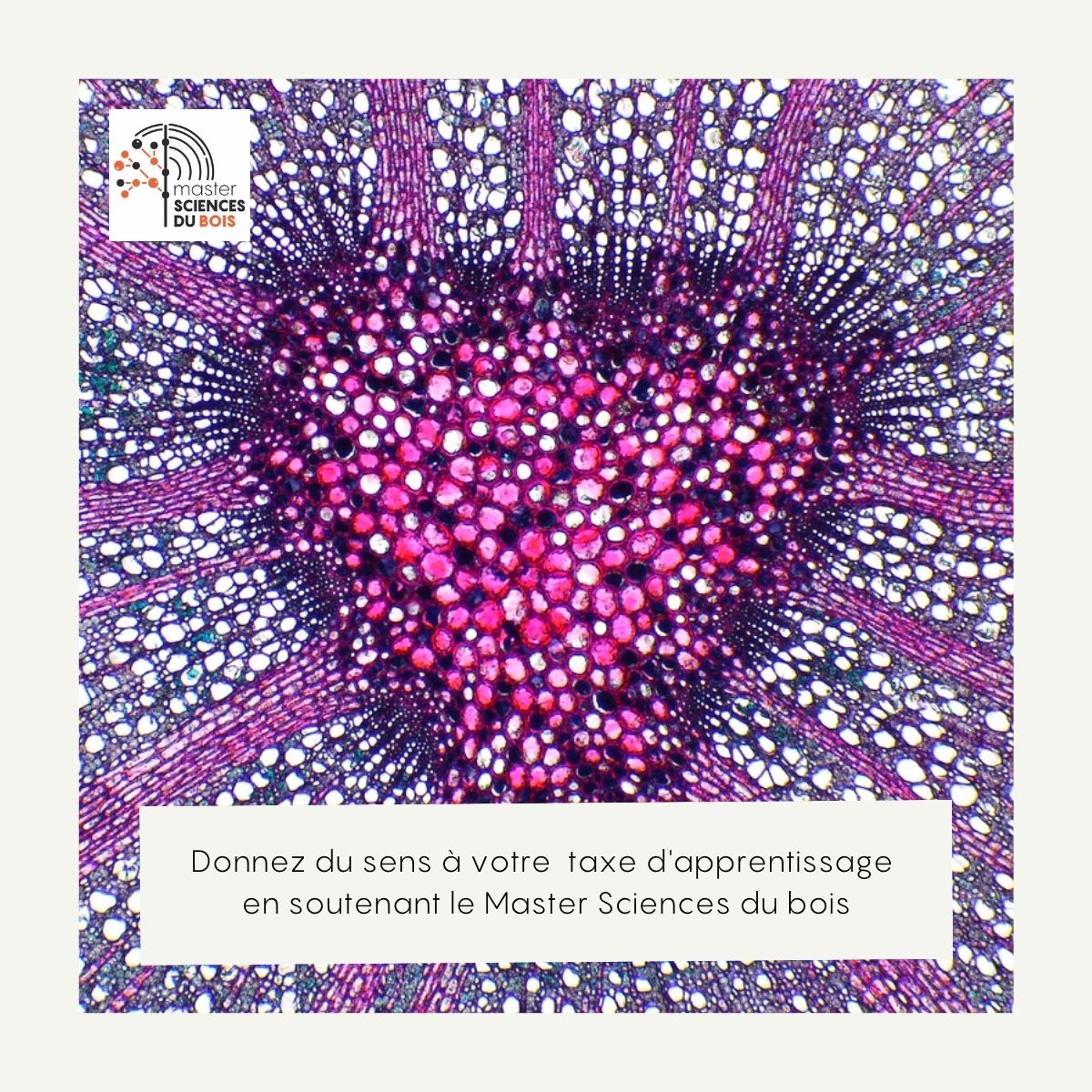 📌Vous souhaitez soutenir la formation de vos futurs employés dans la #filierebois ?

Il est encore temps de nous verser votre taxe d'apprentissage.

Votre soutien nous est très précieux, c'est par ici : lnkd.in/eFXej9MG

⚠️ Bien préciser 'MASTER SCIENCES DU BOIS' .