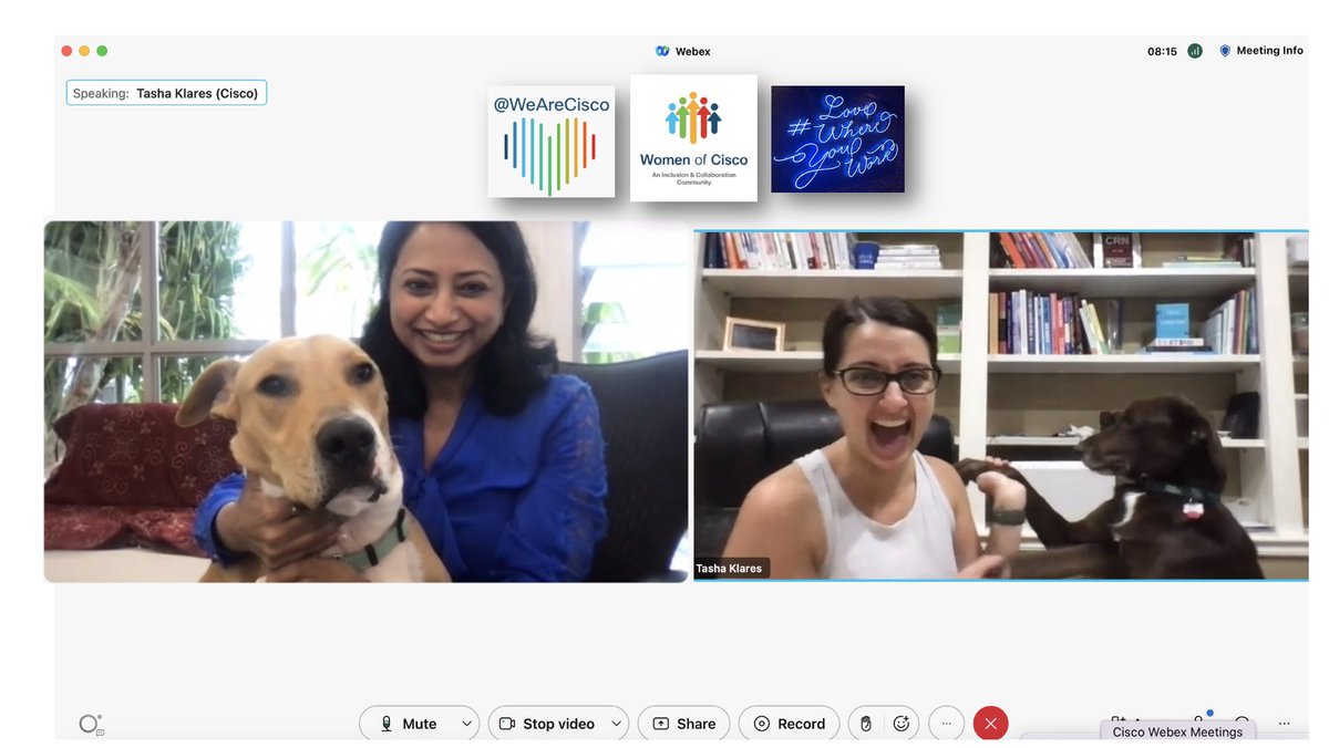 VarshaKanwar's tweet photo. A #FriYaY ๐ wrap to the week with our fur babies ๐ถ keeping us accountable for โtime to walkโ break. Scooby too loves #LifeOnWebex as he made friends with Hank in the U.S & Benfica in Dubai. Thank you @tashaklares and @MissilhamD for your sisterhood. #WeAreCisco #WomenOfCisco https://t.co/qbow37weyV