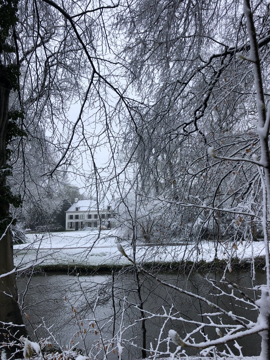 Broos Schnetz tweet media