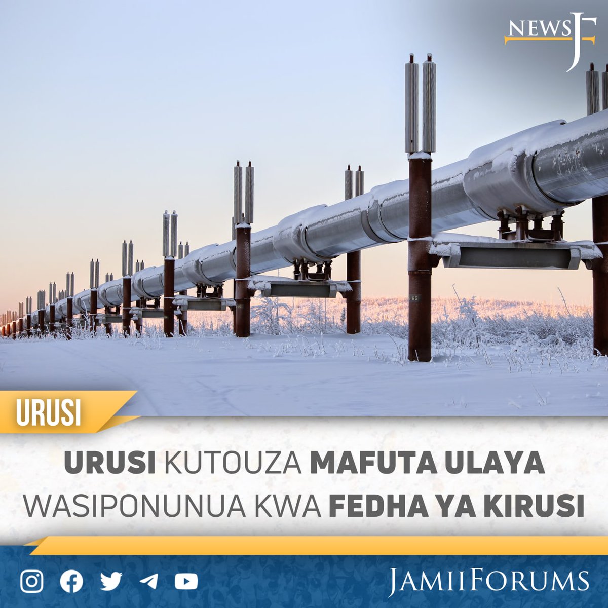 Jamii Forums tweet media