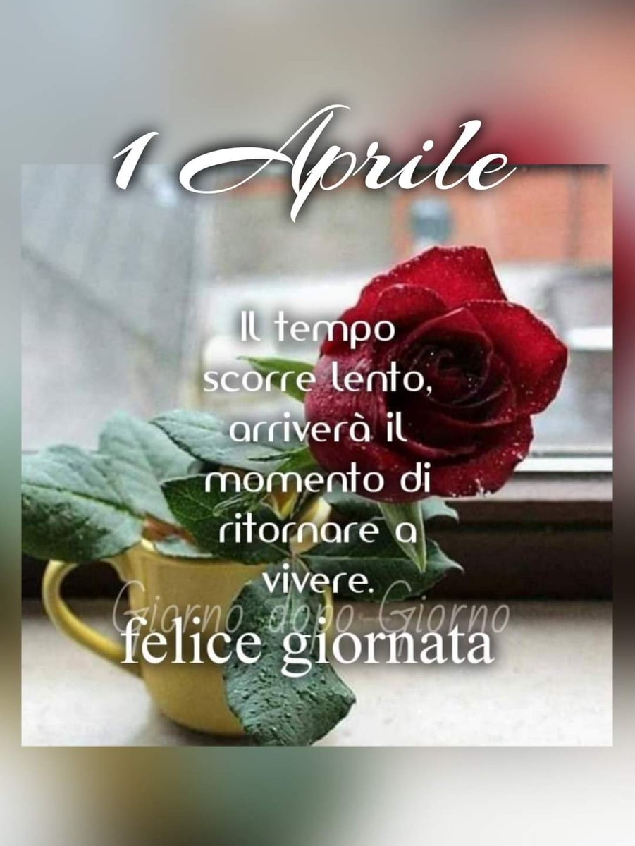 Un dolce buongiorno a tutti voi twitterini