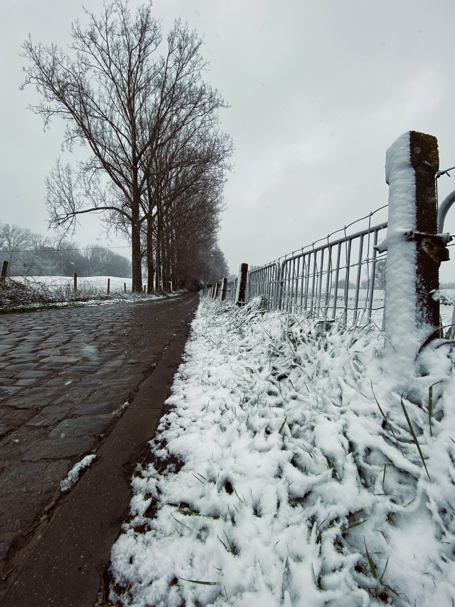 Sometimes it snows in April 🎶

#RVV22 #Koppenberg