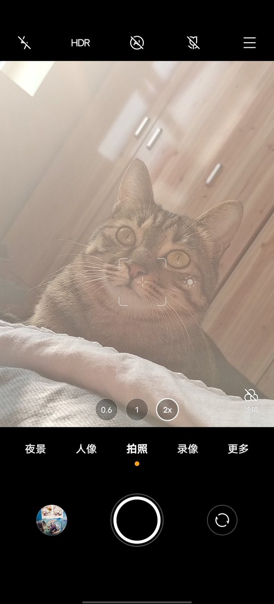 _psychopathy_'s tweet photo. 新鲜的🐱 https://t.co/vUJWmf55wX