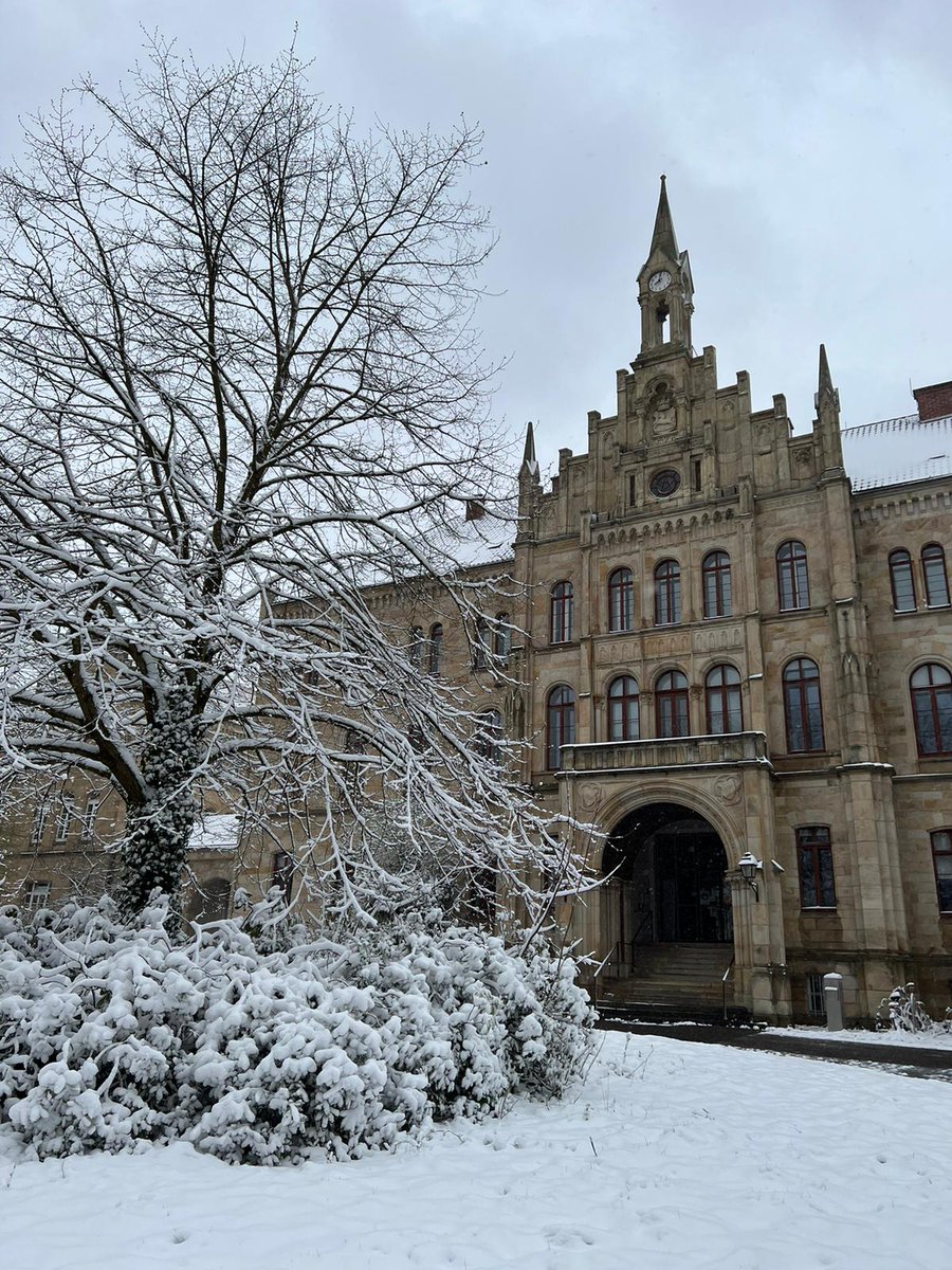 Fanny Dietel tweet media