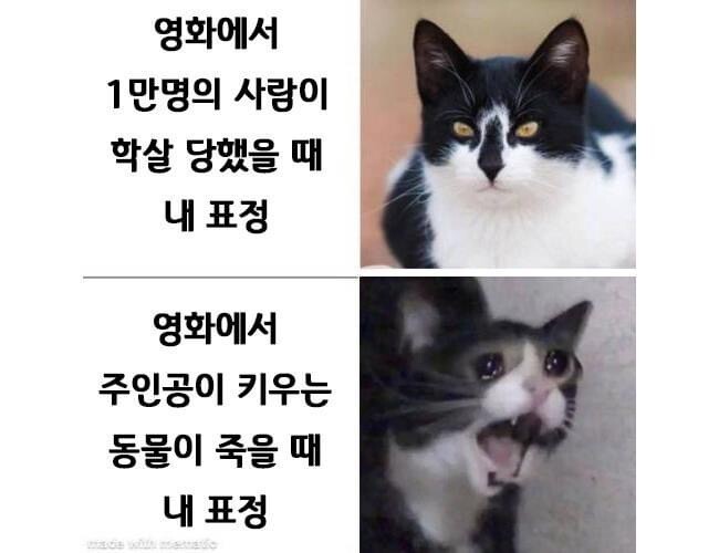 WkfxjfrP's tweet photo. 영화에서 사람과 동물이 죽었을때 차이 https://t.co/KHx9bJ5auC